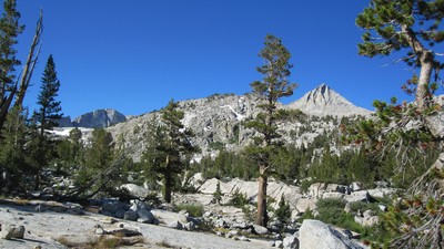 JMT