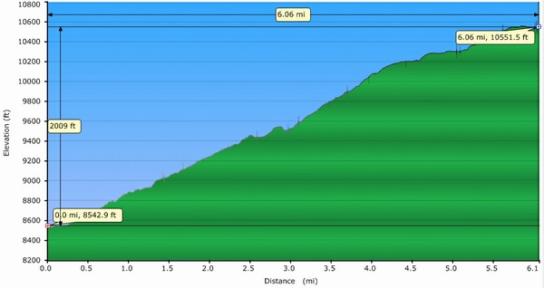 Day 2 Profile