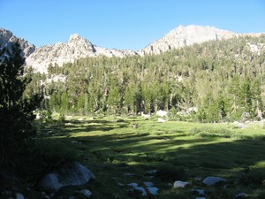 SEKI Charlotte Lake